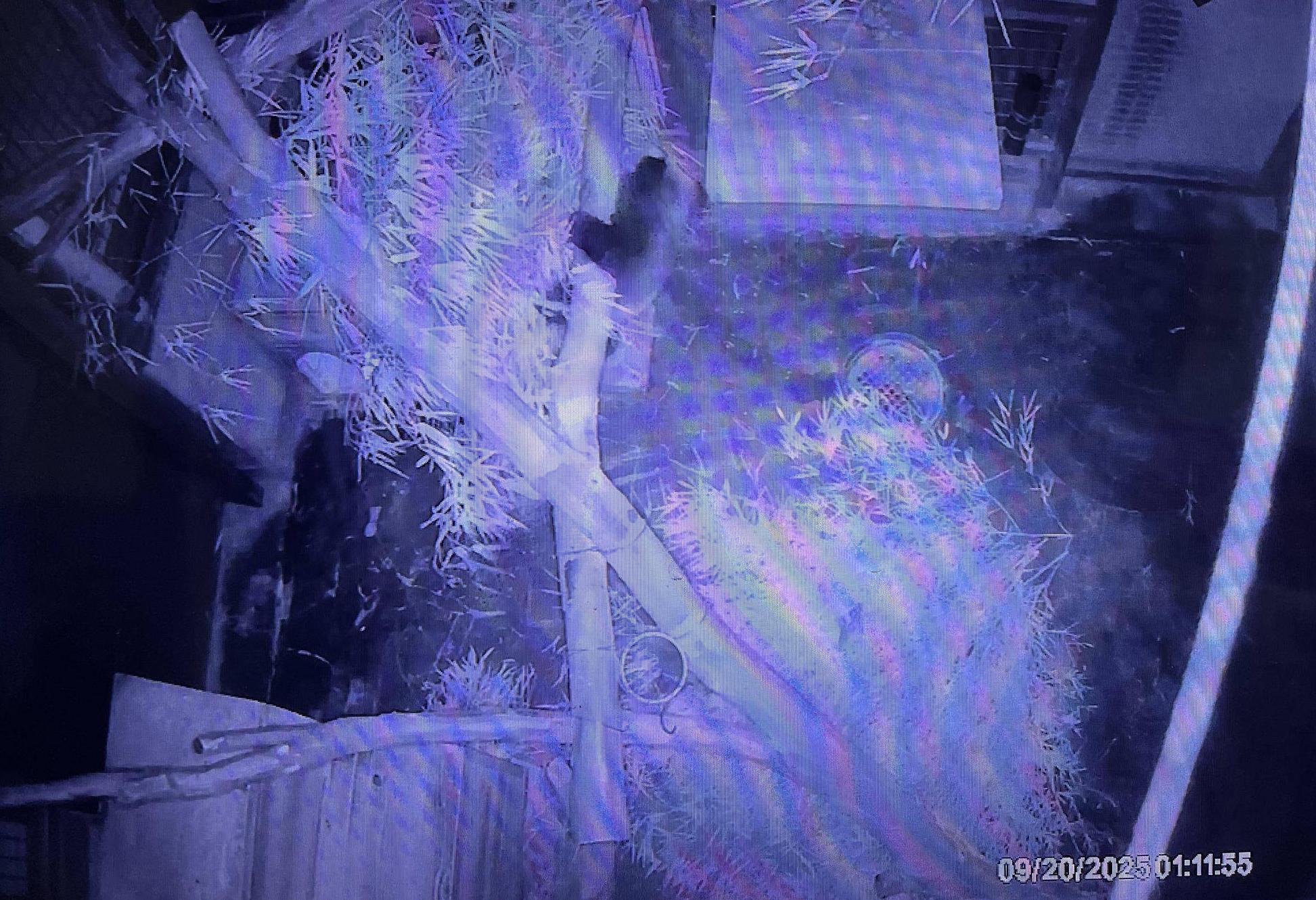 0920　夜間 (3).jpg