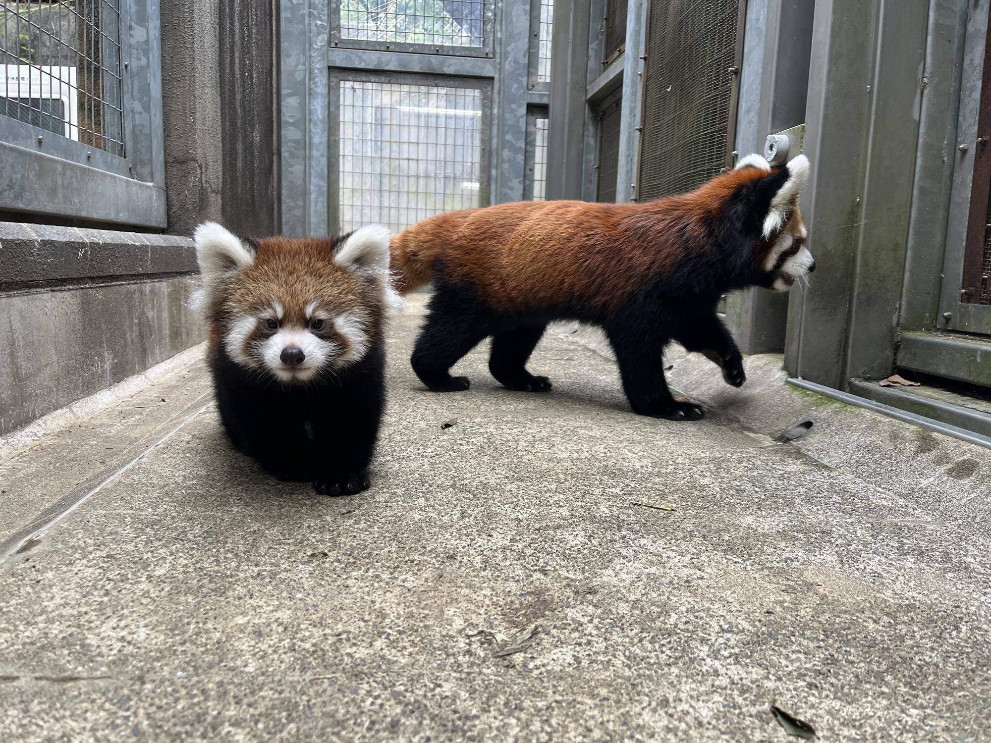 シュートデビュー.jpg