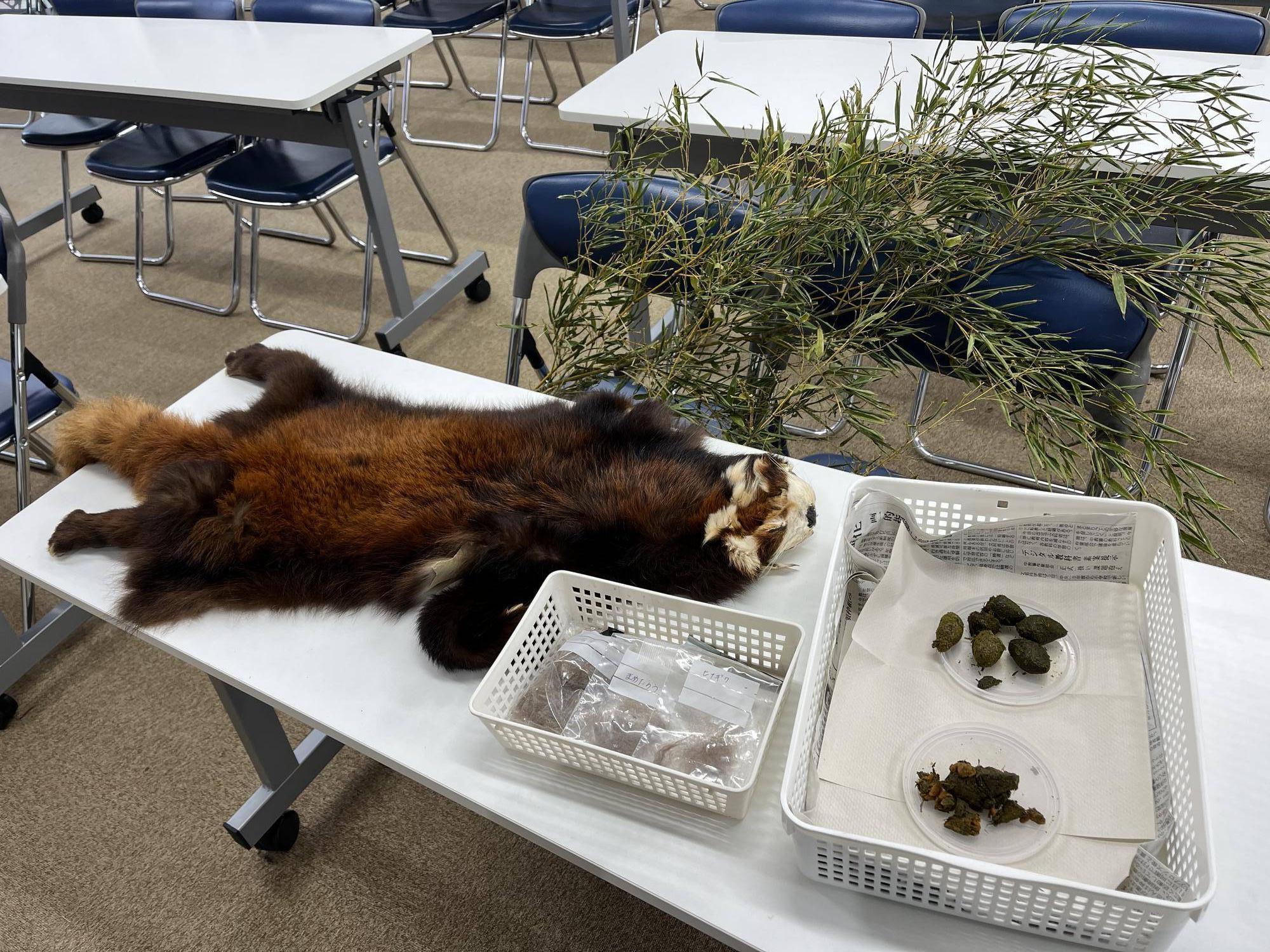 派生物　セット (2).jpg