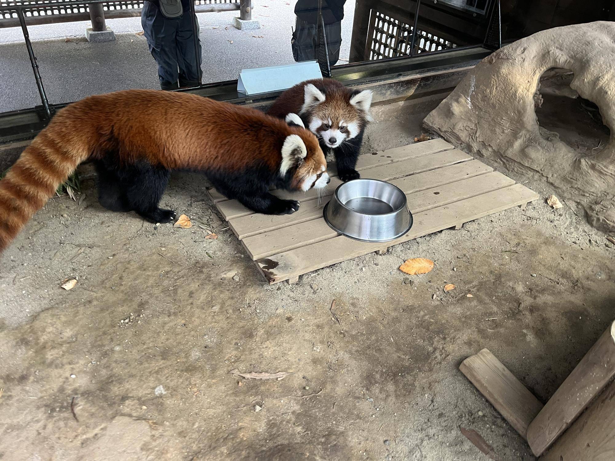 自然哺育 展示場デビュー (1).jpg