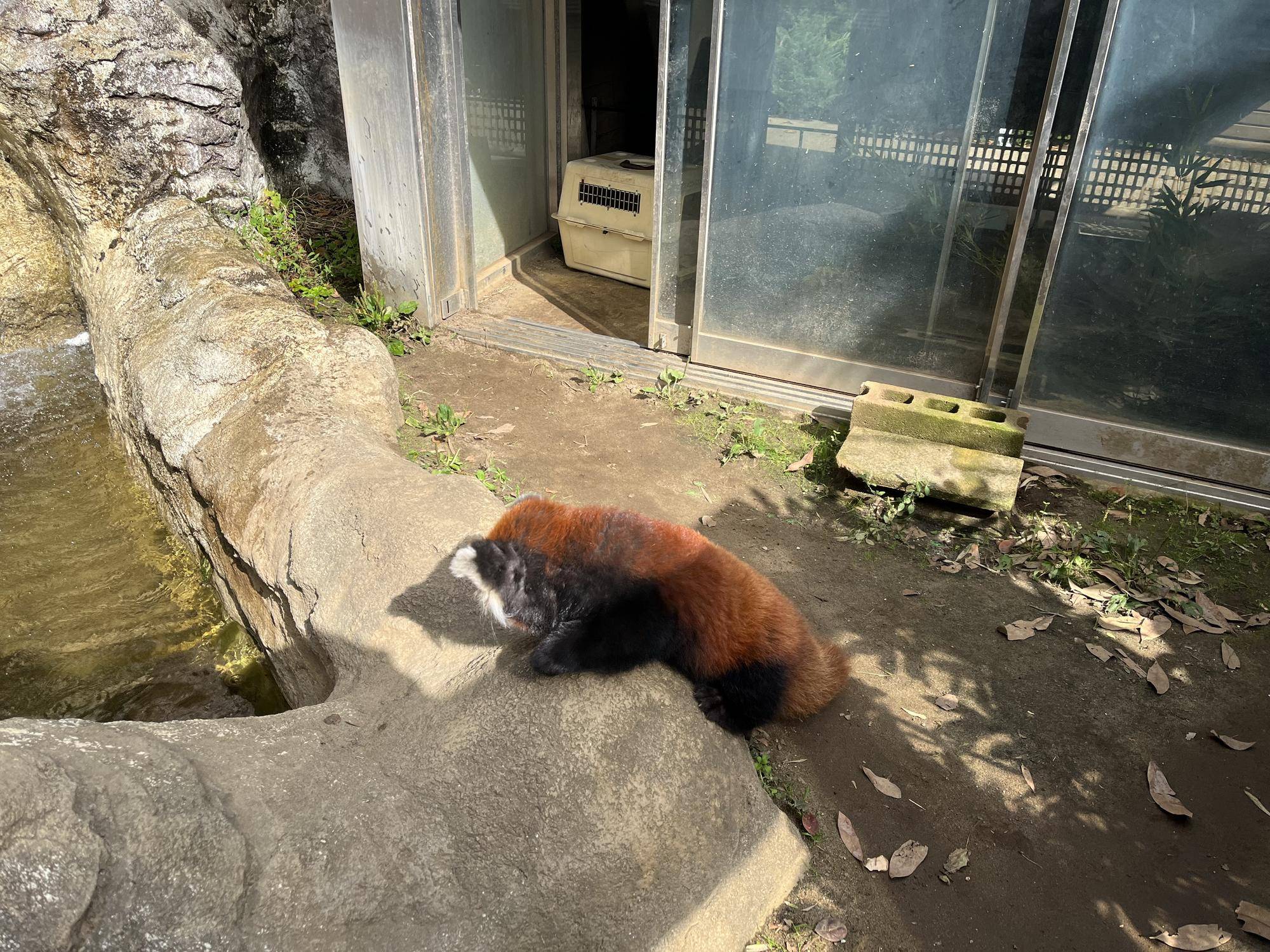 小展示場馴致6 (2).jpg