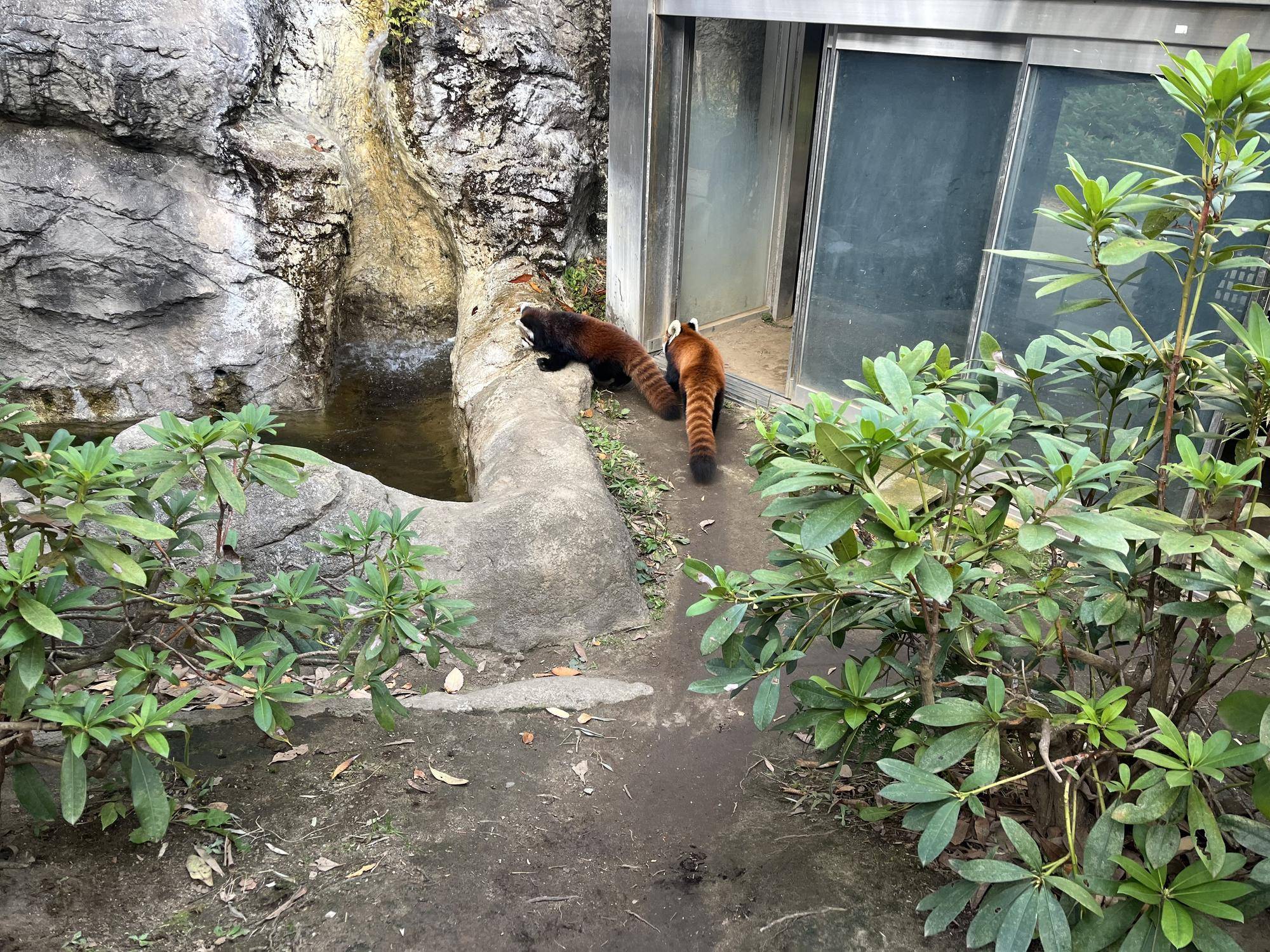 自然哺育 展示場デビュー (2).jpg