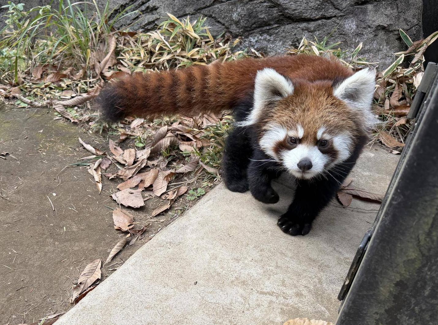 1209撮影 ミナト.jpg