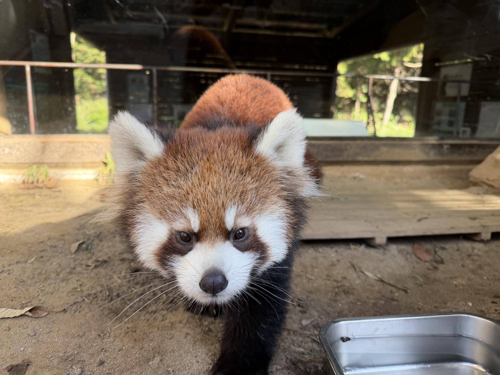 ミナト　1216 (2).jpg