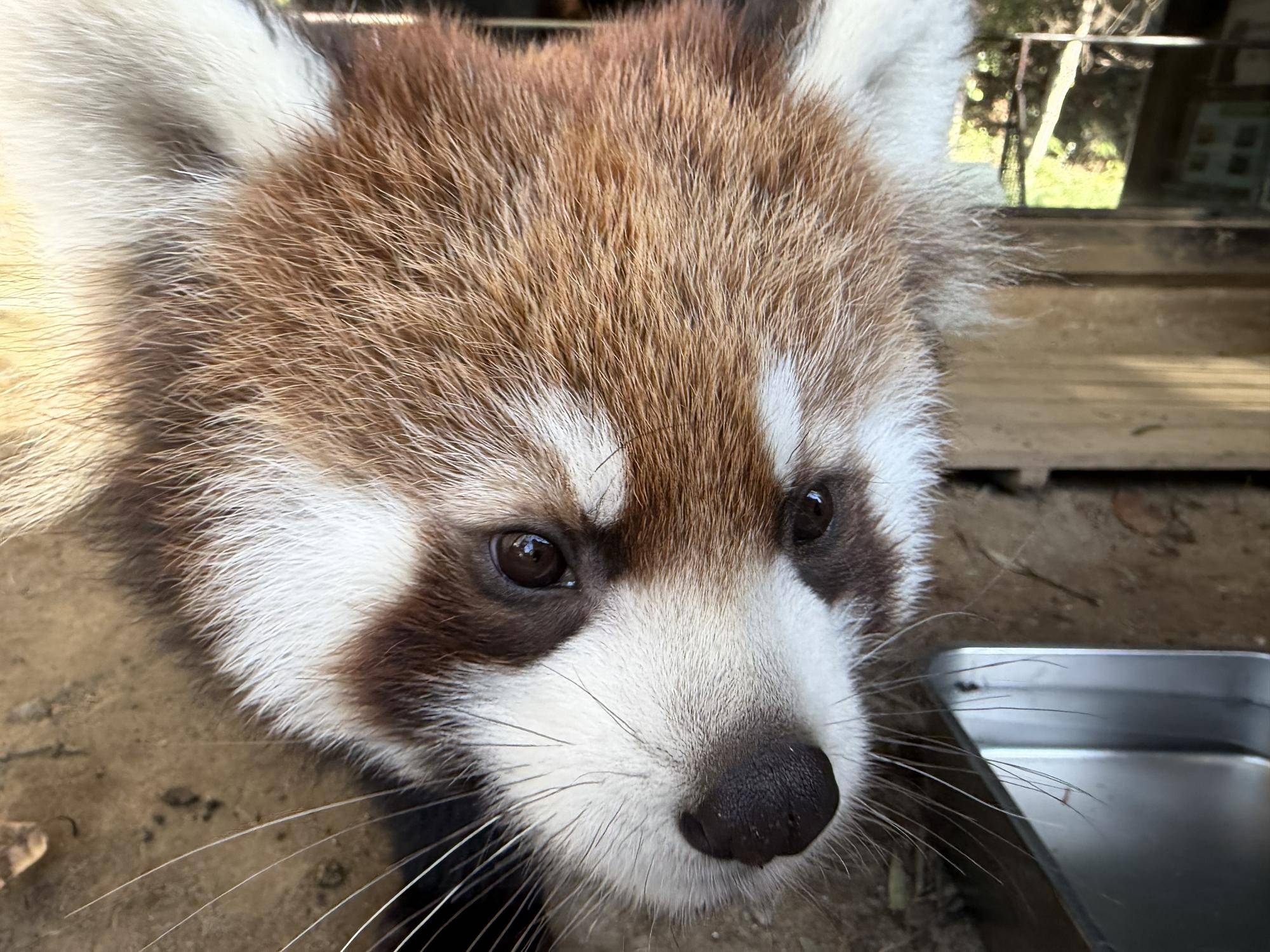 ミナト　1216 (3).jpg