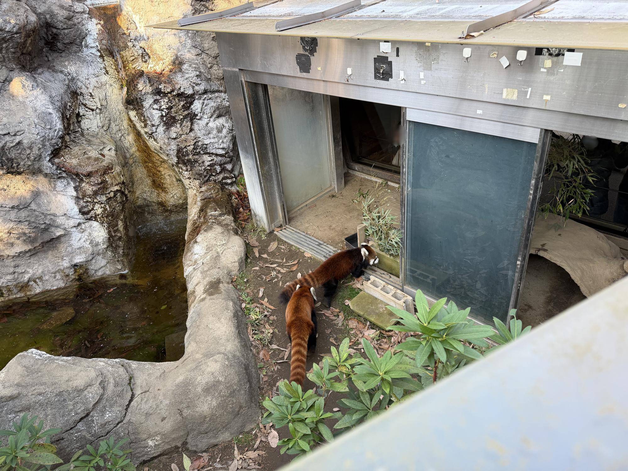 12月17日公開 2.jpg