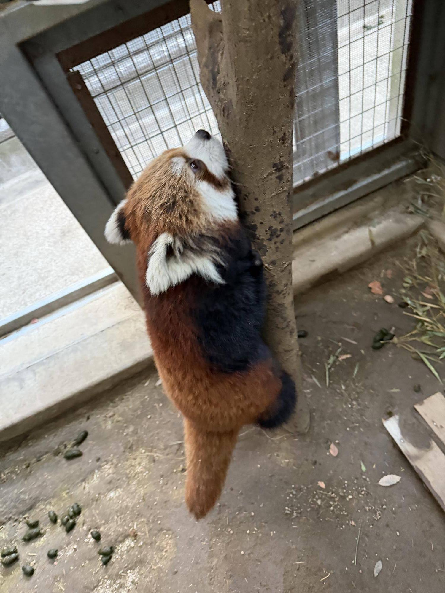 登るハマ (3).jpg