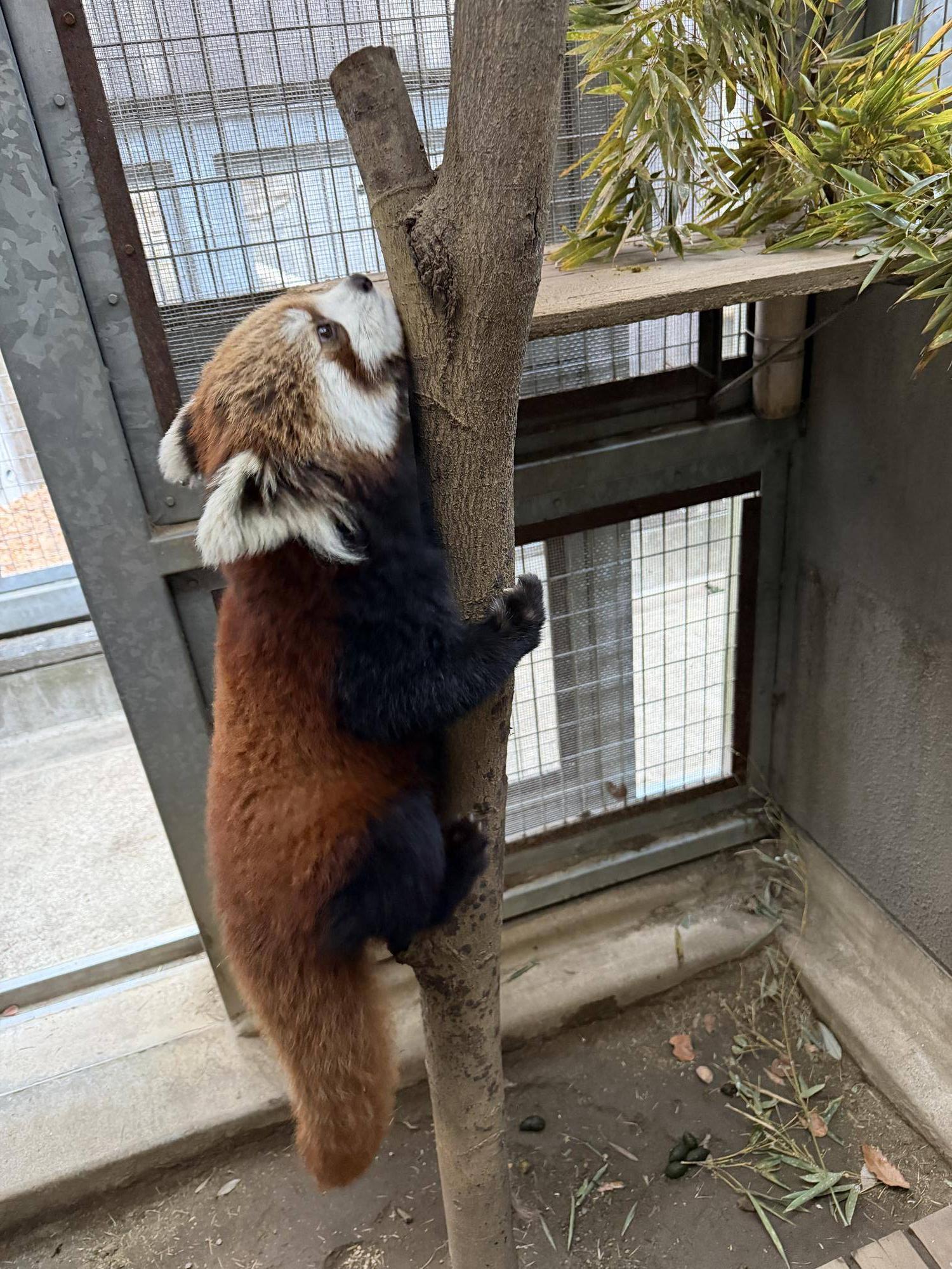 登るハマ (4).jpg