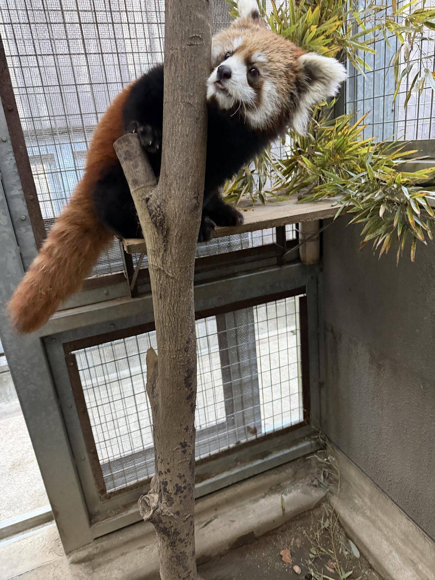 登るハマ (2).jpg