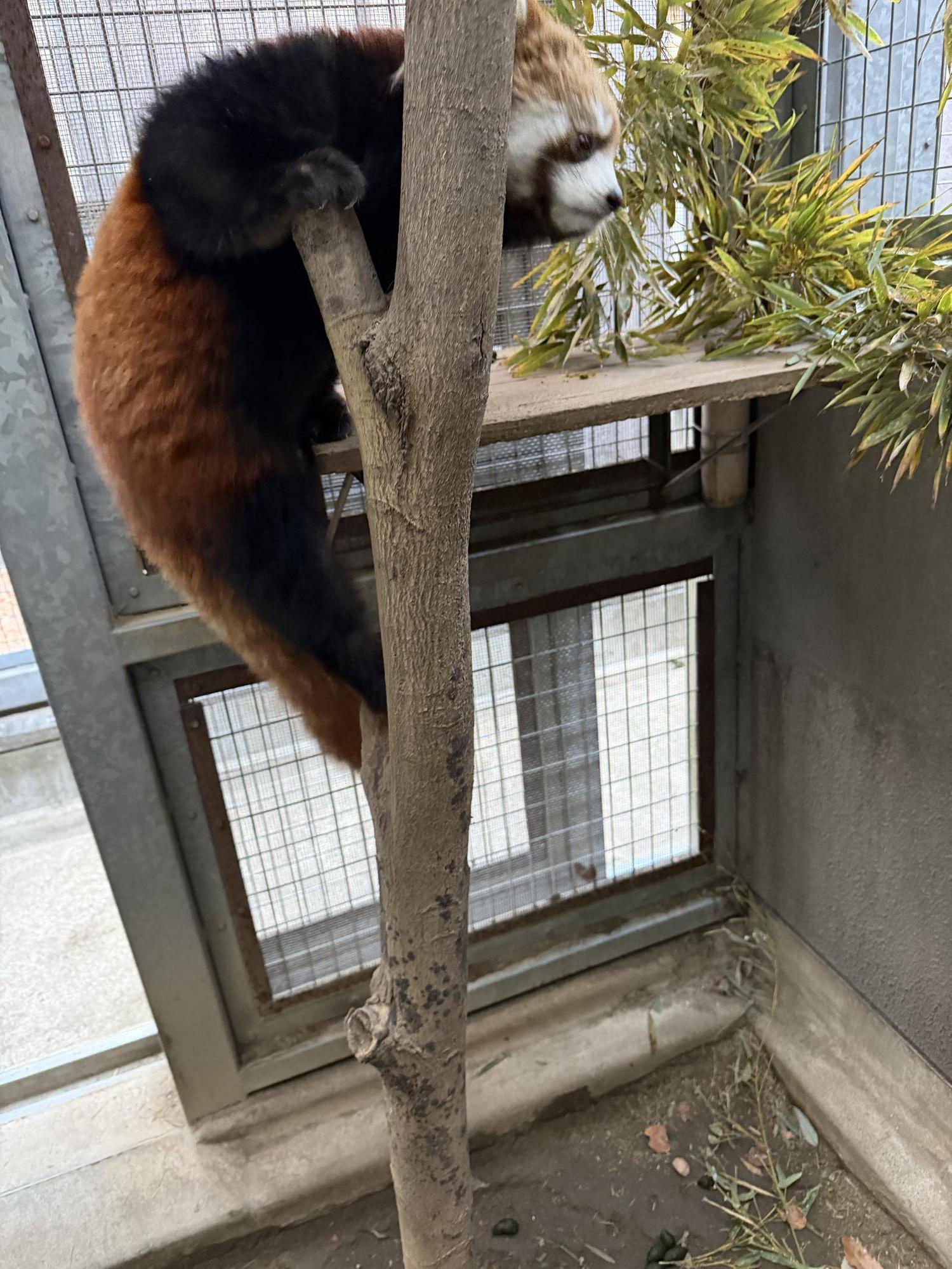 登るハマ (1).jpg