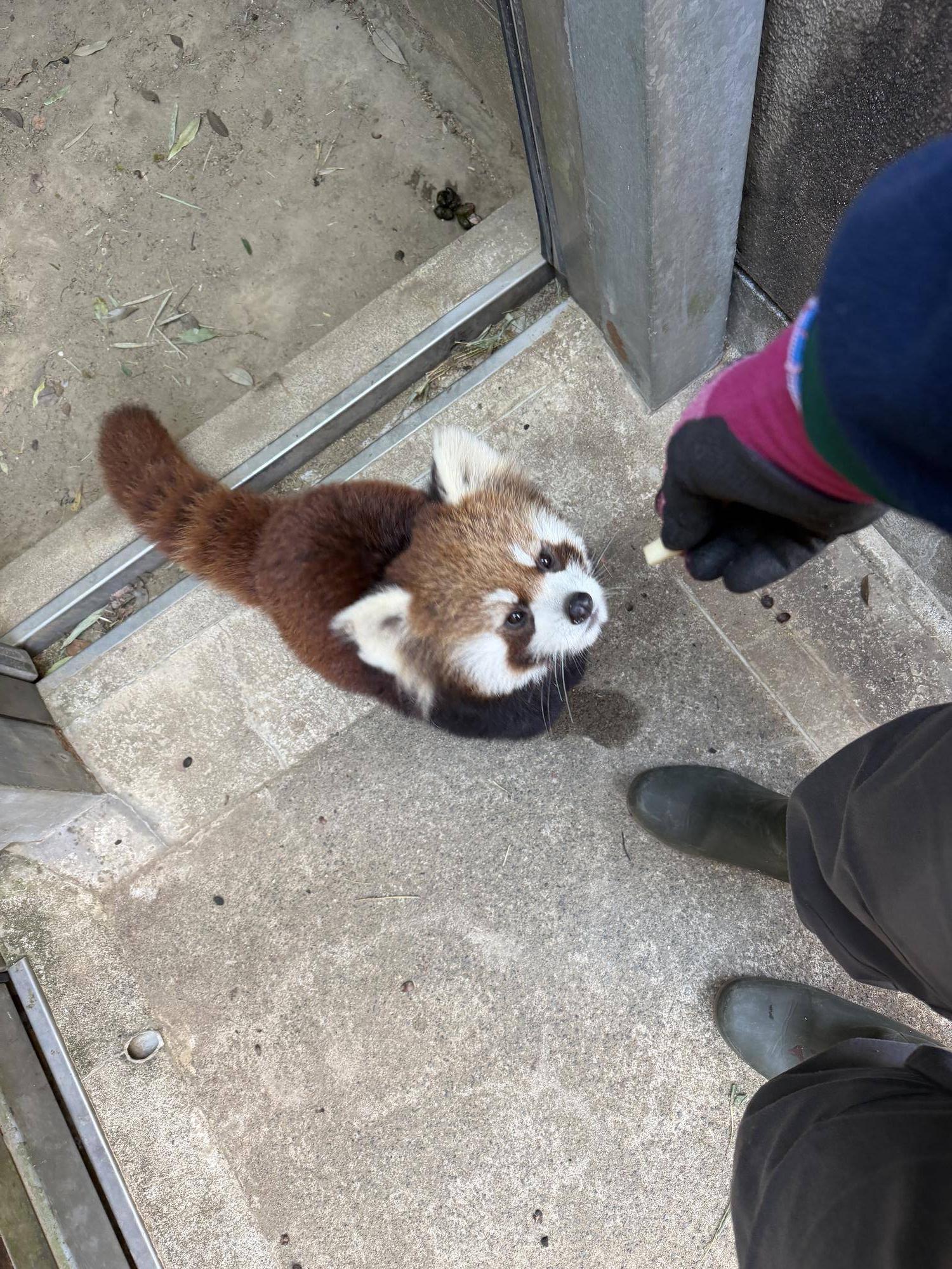 2月4日 ミナト (2).jpg