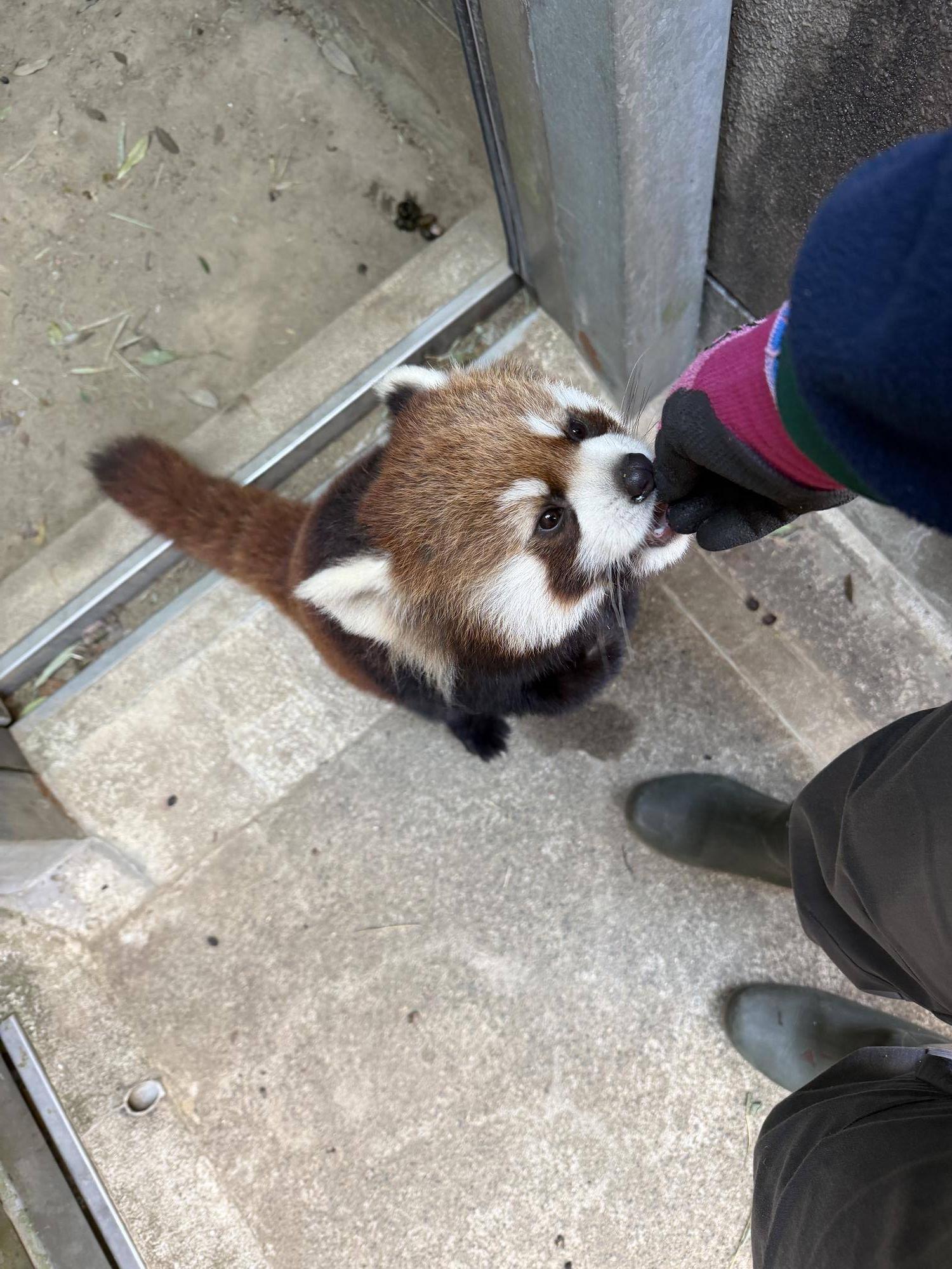 2月4日 ミナト (1).jpg