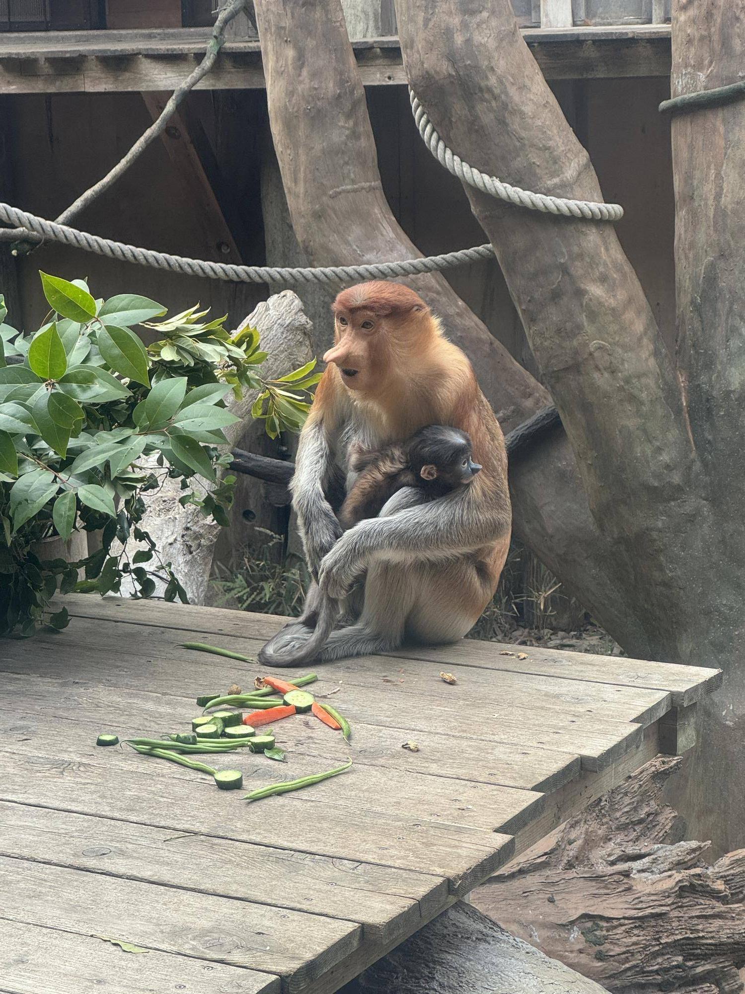 №12カロ展示場馴致 (6).jpeg