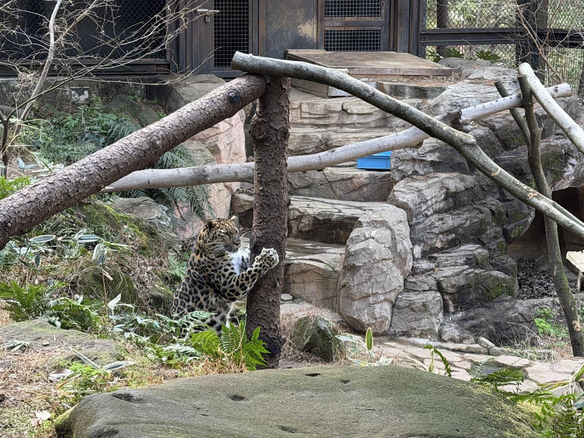 設置翌日 (2).jpg