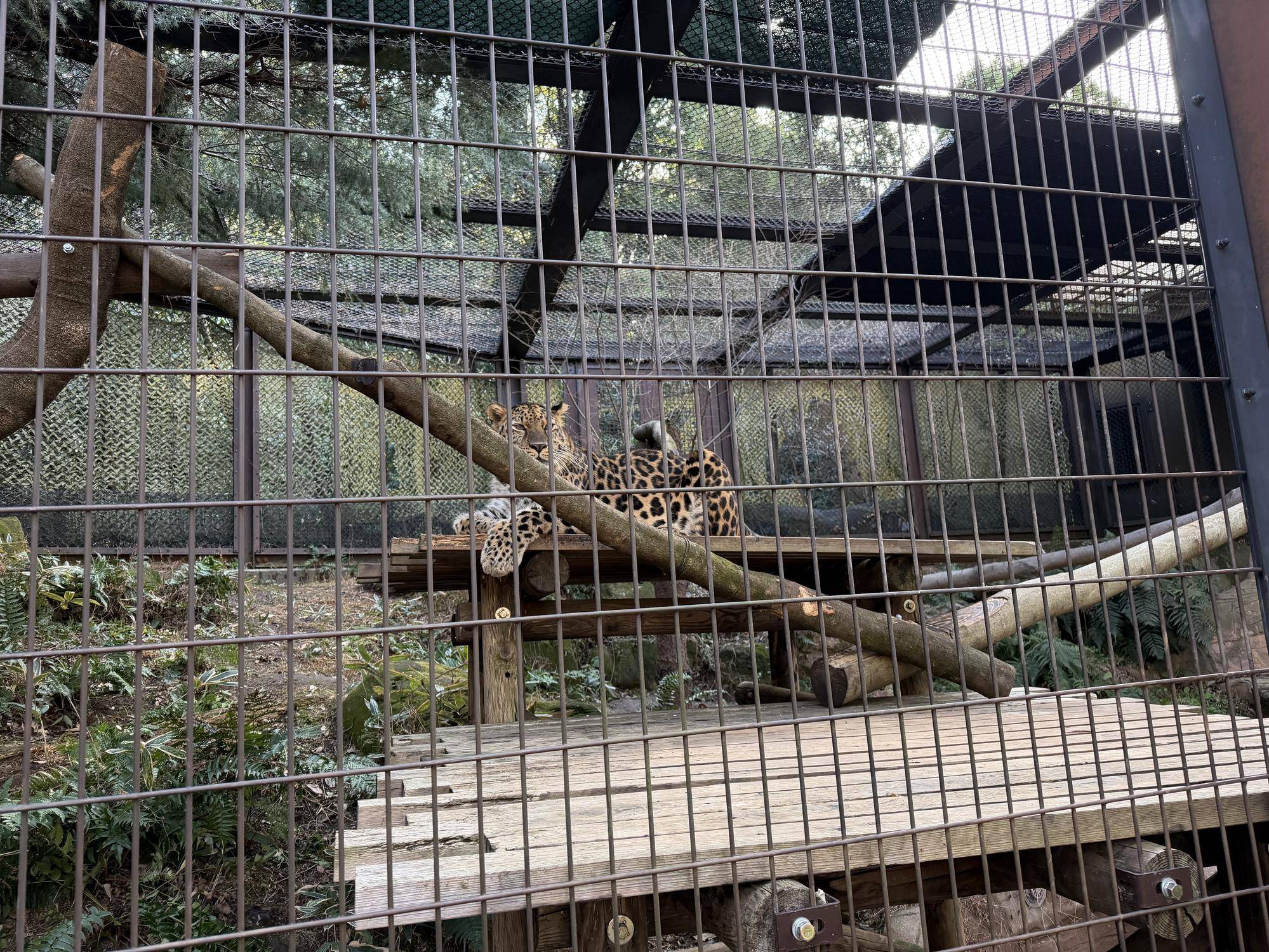 設置翌日 (3).jpg