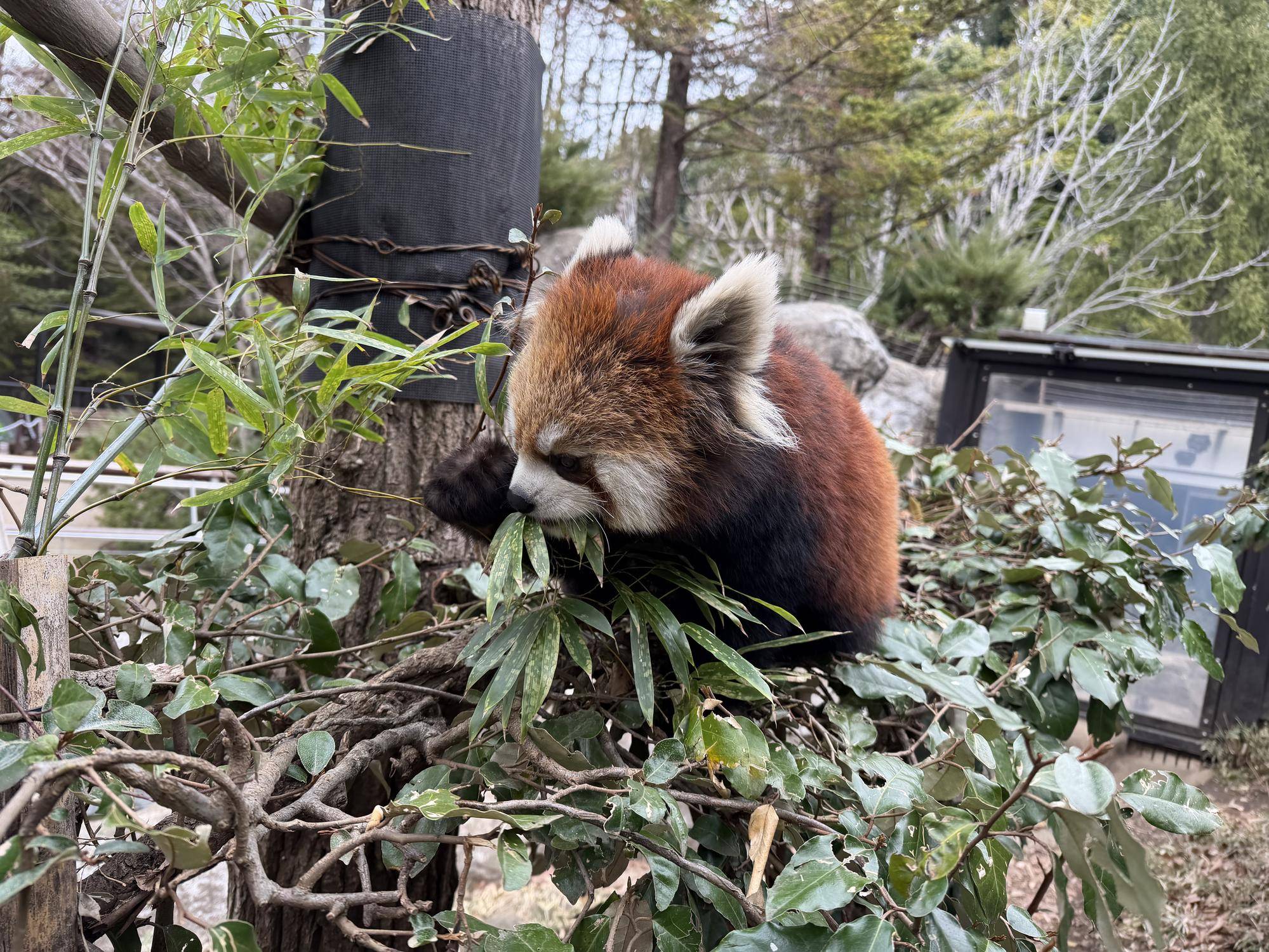 大展示場馴致 (4).jpg