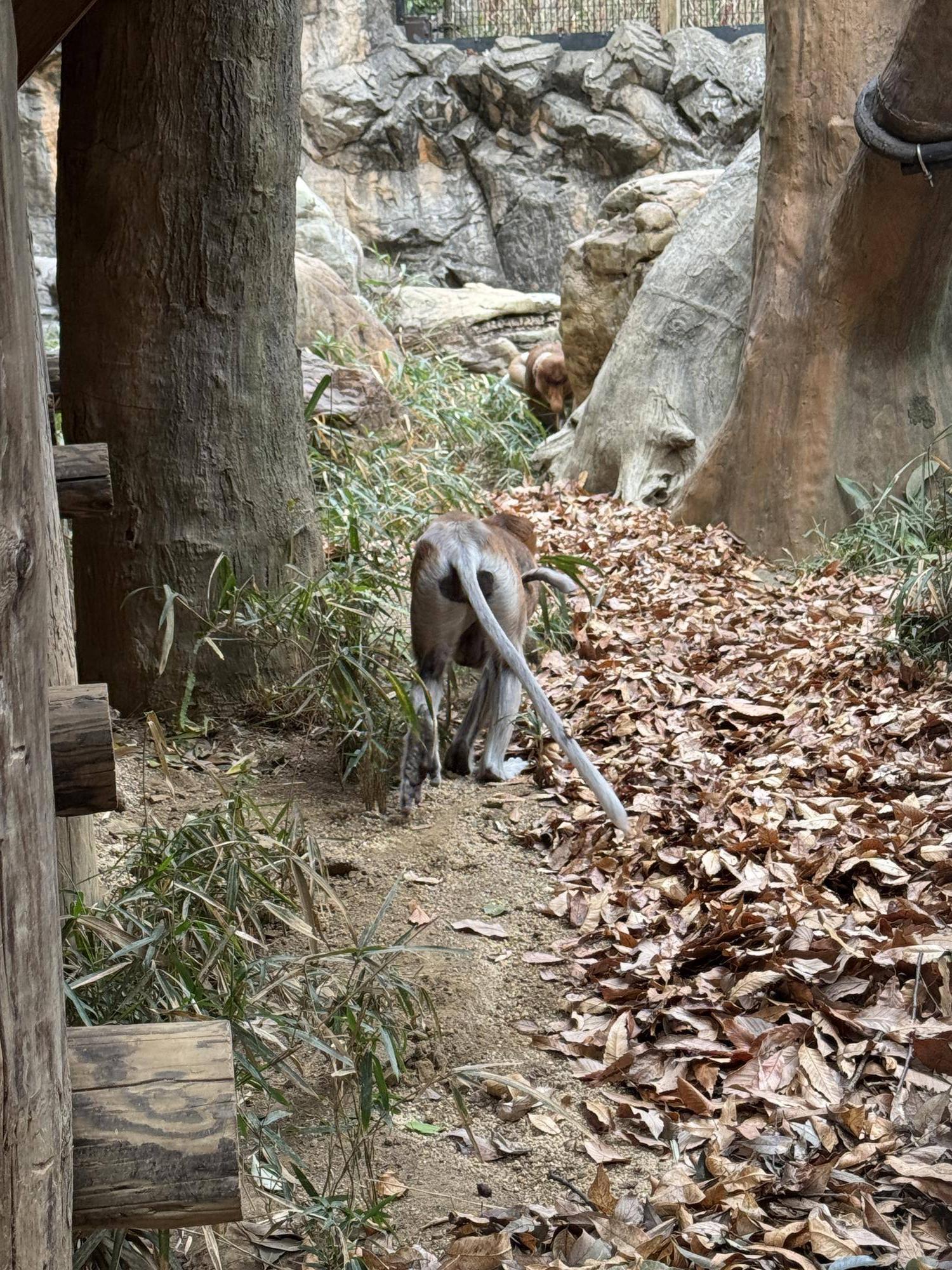 №12カロ展示場馴致 (7).jpeg