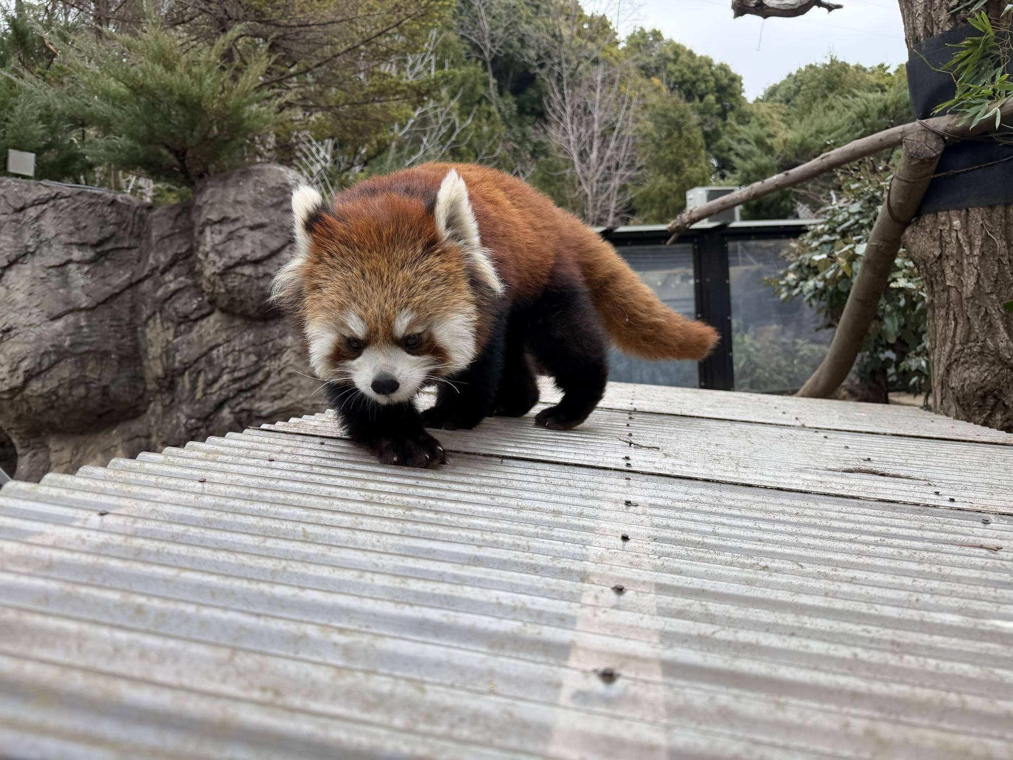 大展示場馴致 (5).jpg