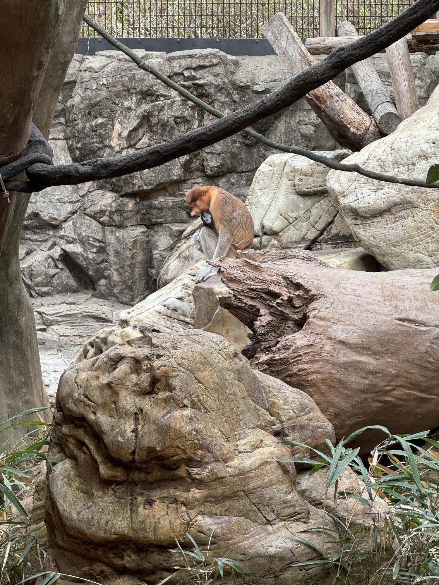 №12カロ展示場馴致 (2).jpeg