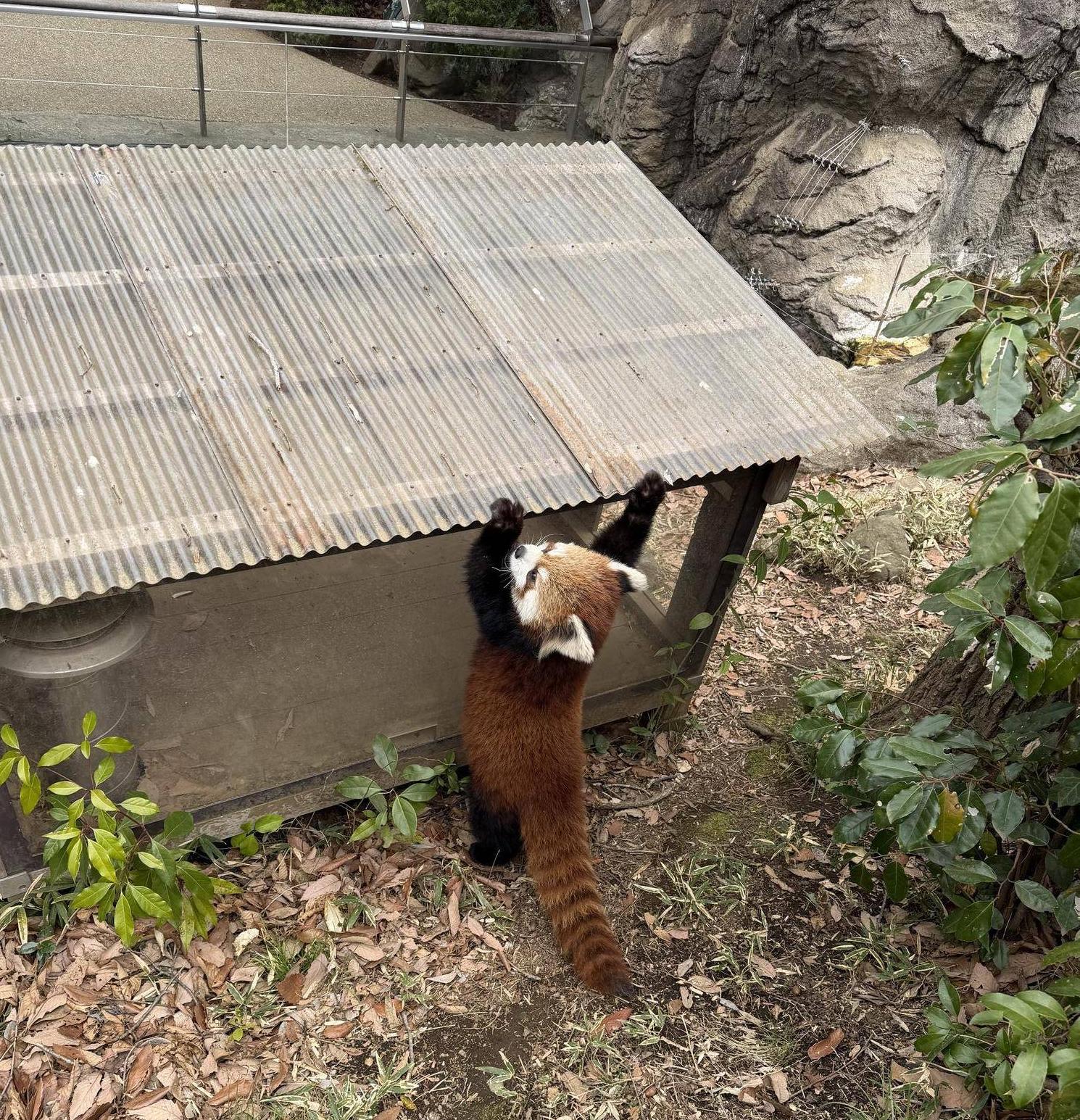 大展示場馴致 (3).jpg