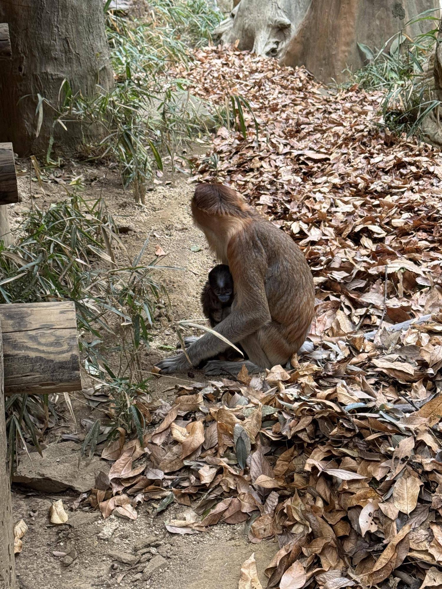 №12カロ展示場馴致 (5).jpeg