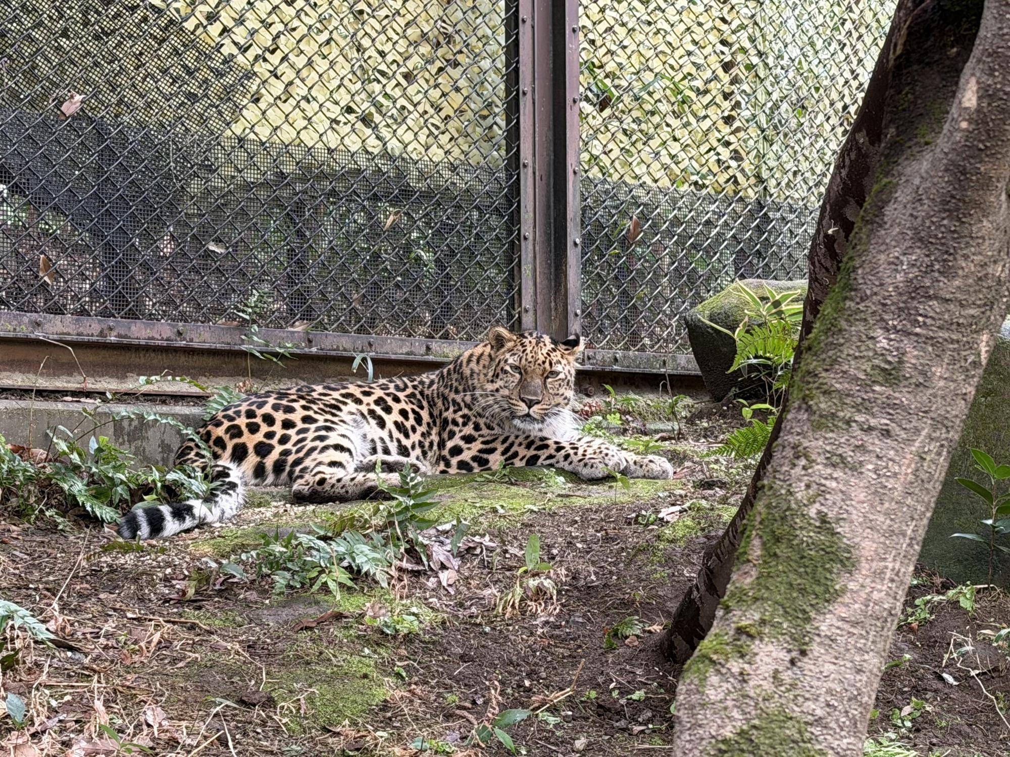 設置翌日 (4).jpg