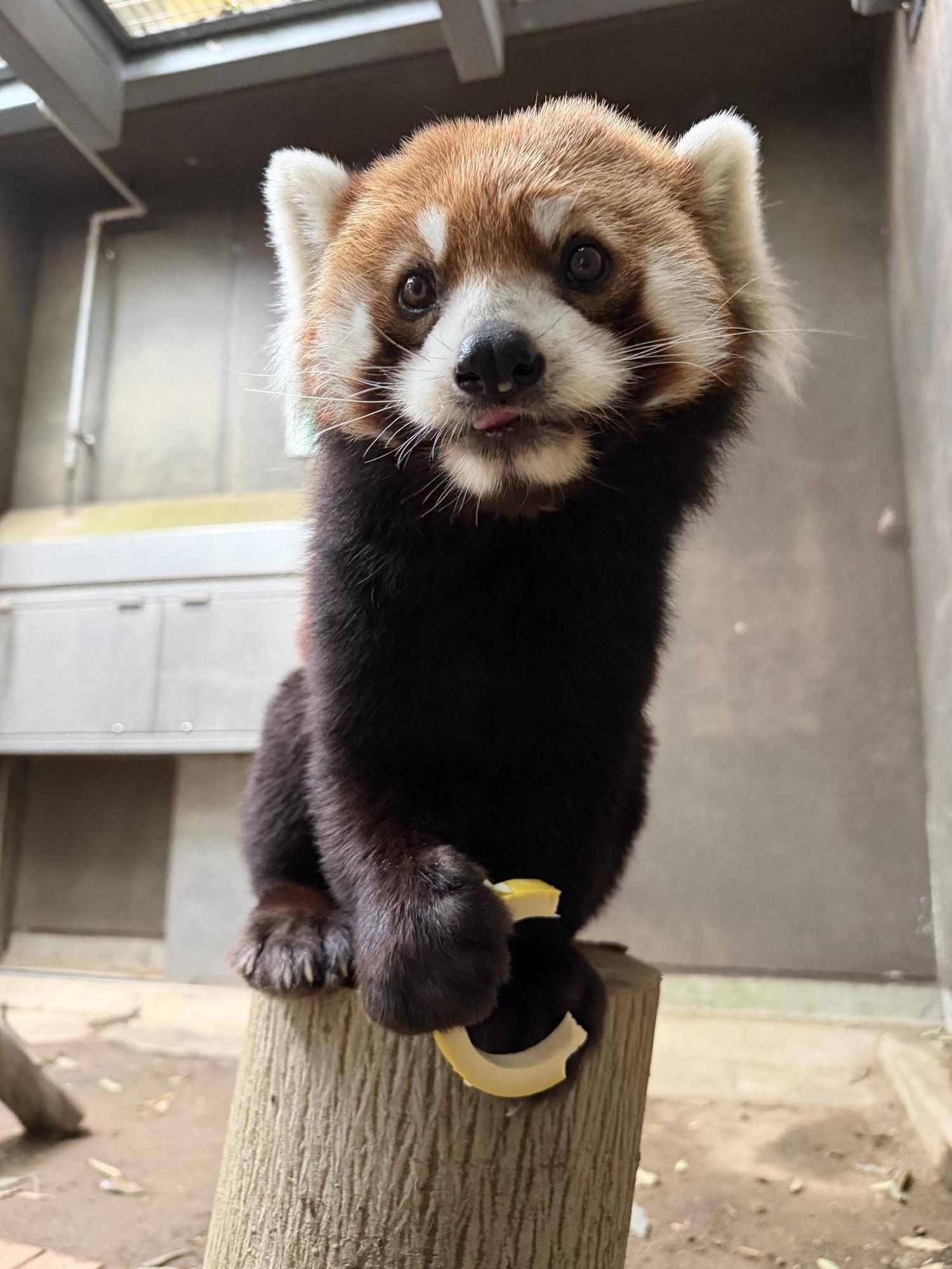 筍とまめたろう２.jpg