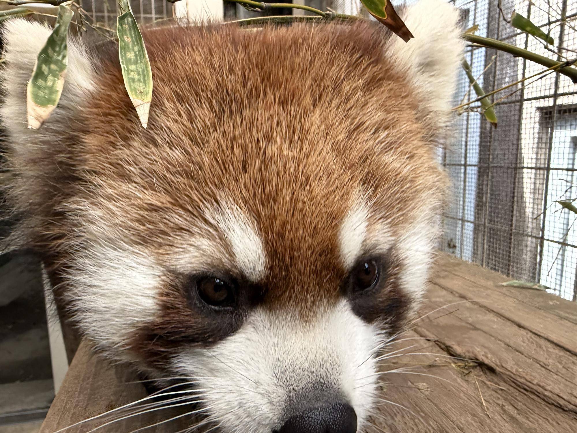 迫り来るミナト (2).jpg