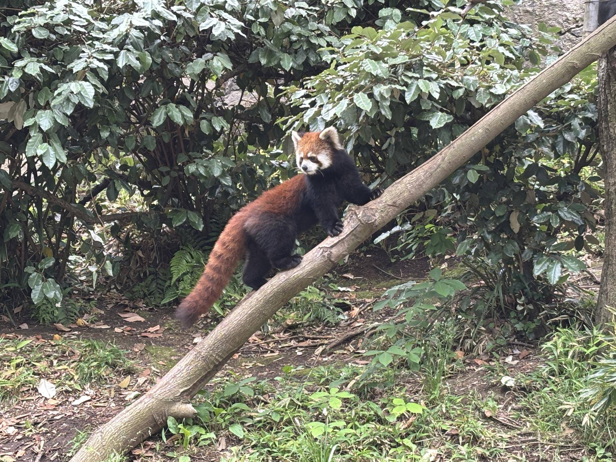ミナト 馴致3.jpg