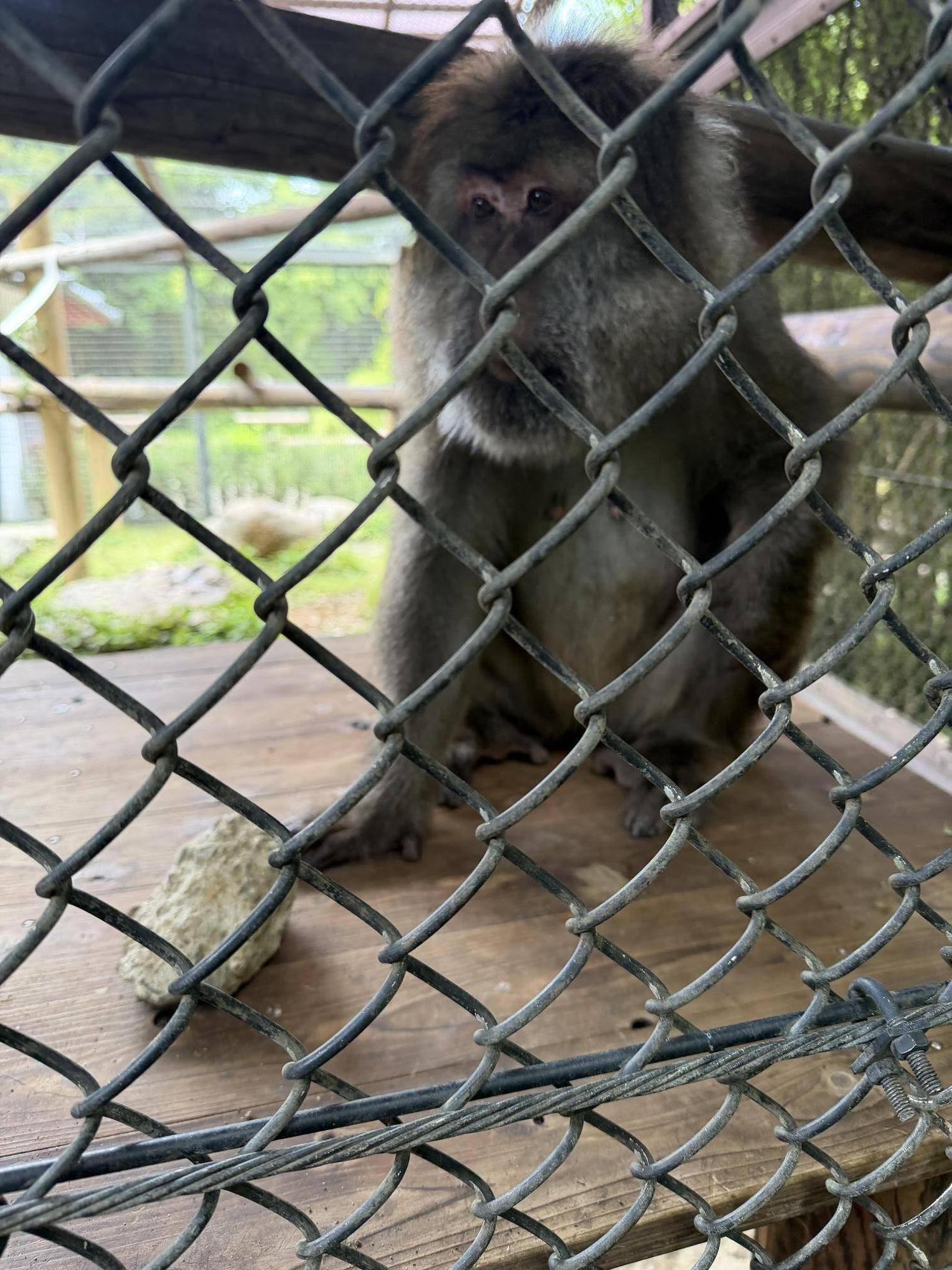 サムと石.jpg