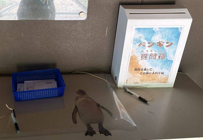 フンボルトペンギンの展示場で植栽体験しませんか？１.jpg