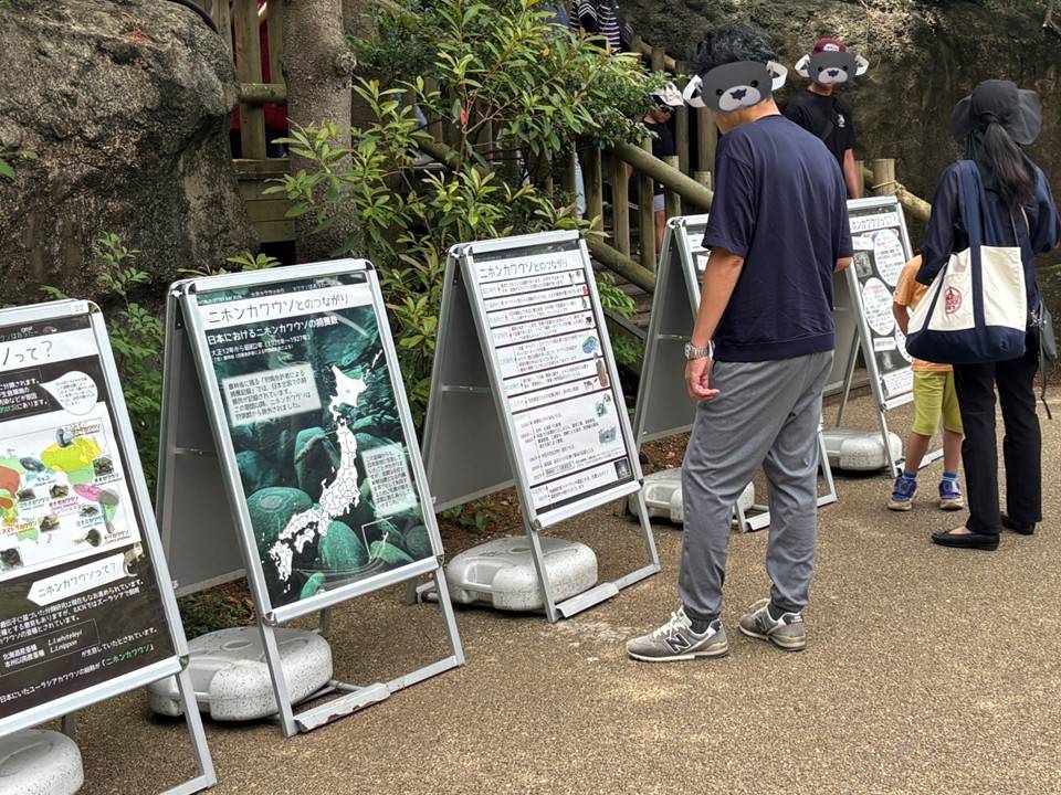 世界カワウソの日イベント5.jpg