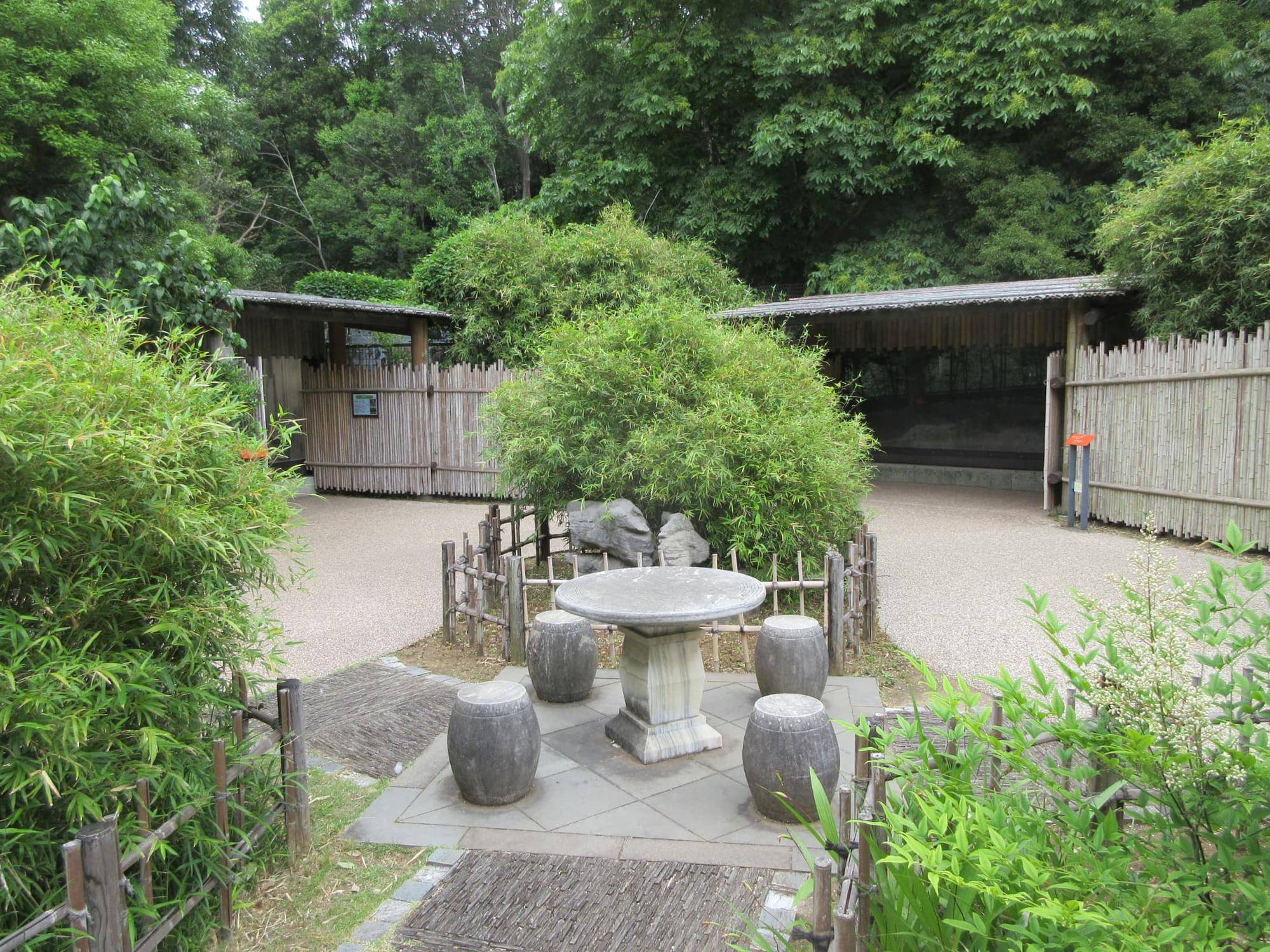 中国将棋卓とドールの観覧ビュー.jpg
