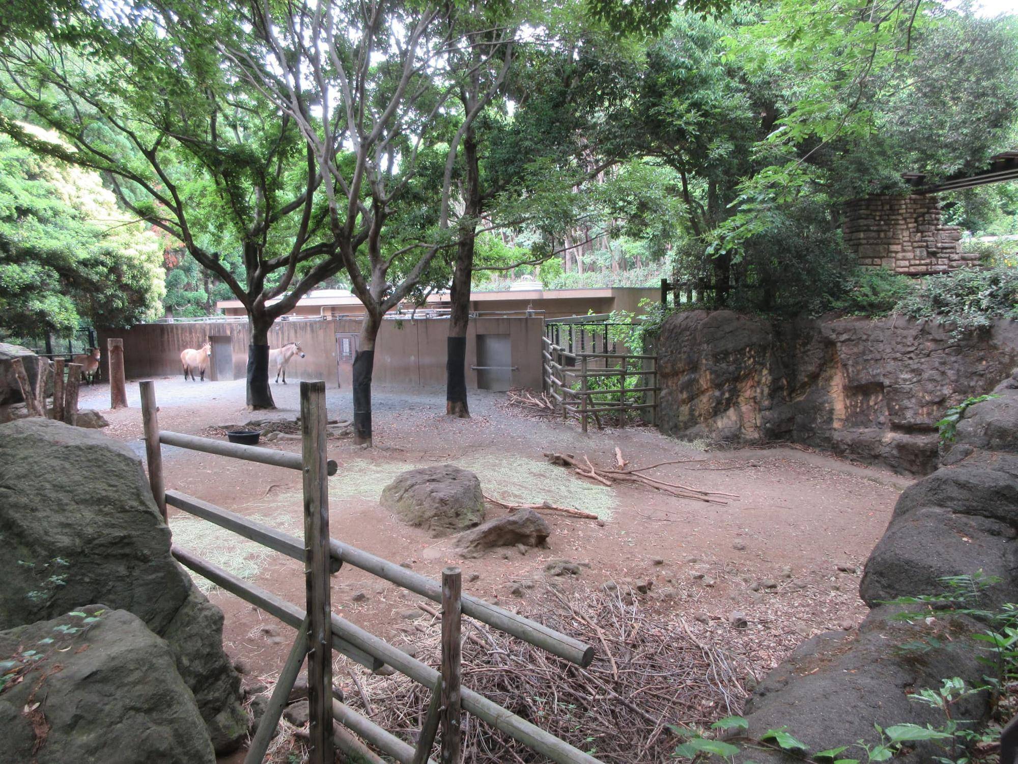 ノウマ展示場.jpg