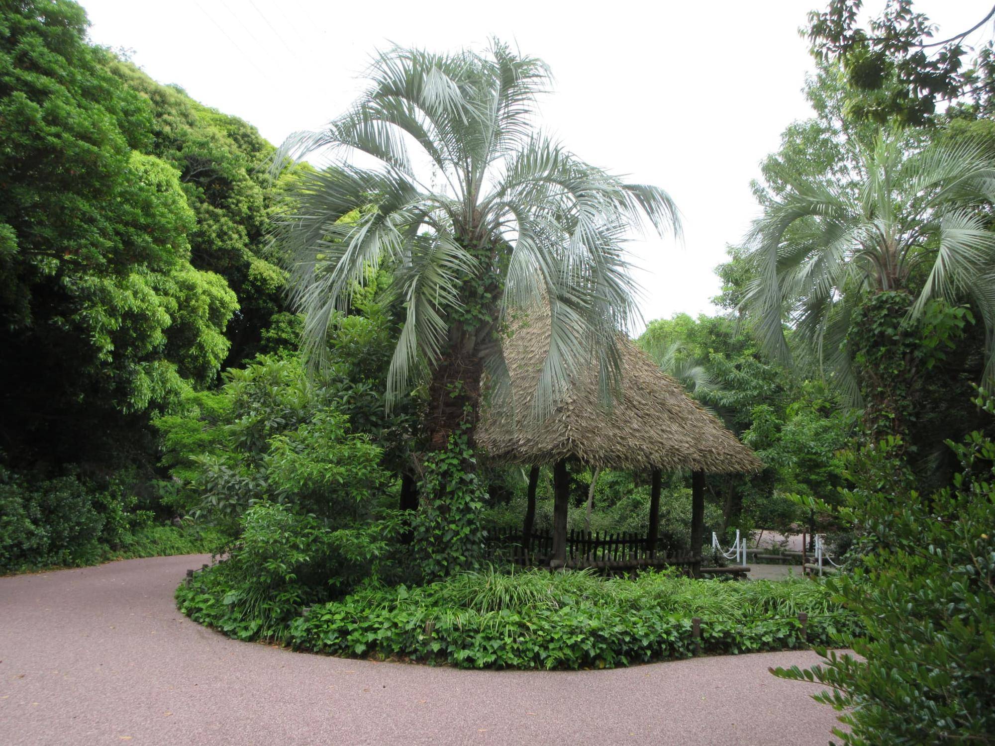園路（休憩棟）.jpg