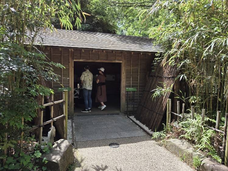 タヌキ＆アナグマ観覧ビュー.jpg