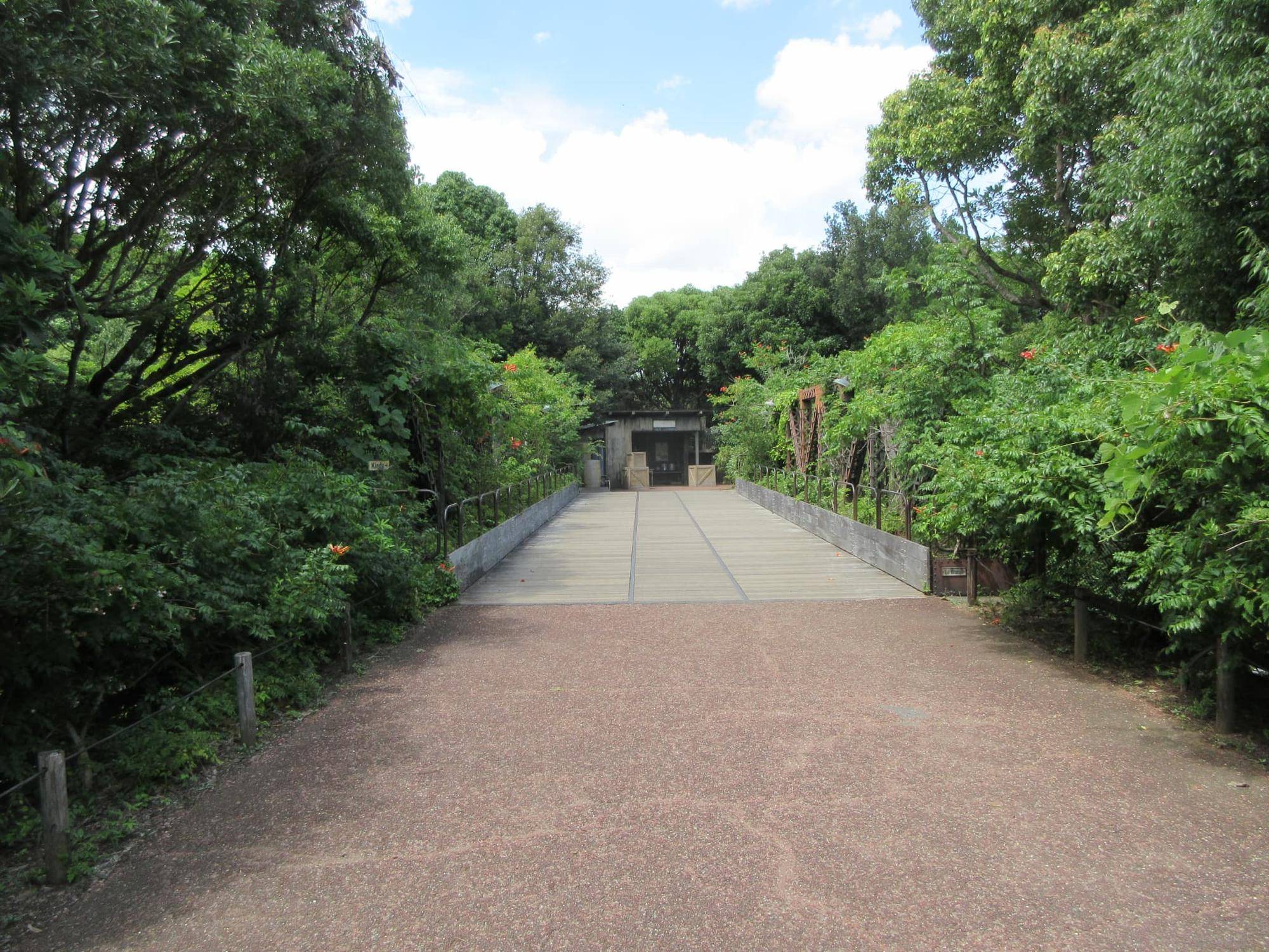 トラス橋と線路.jpg