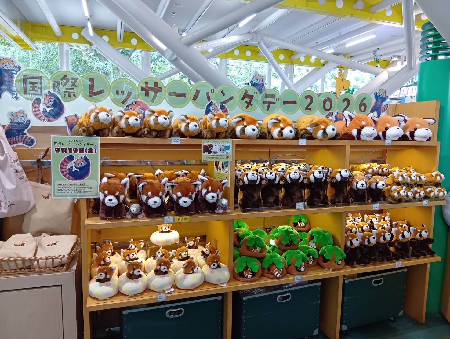 レッサーパンダコーナー②.jpg