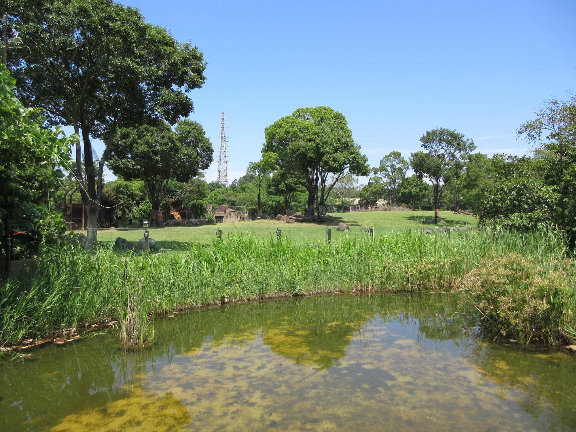混合展示場湿地帯ビュー（南北見通し）.jpg