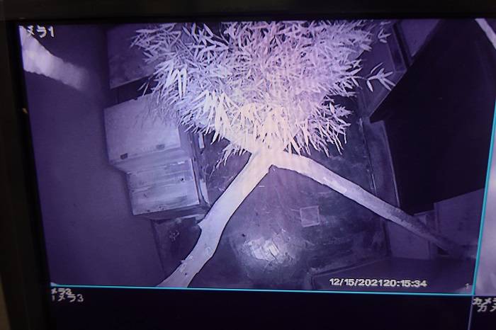 5 監視カメラでチェック.jpg