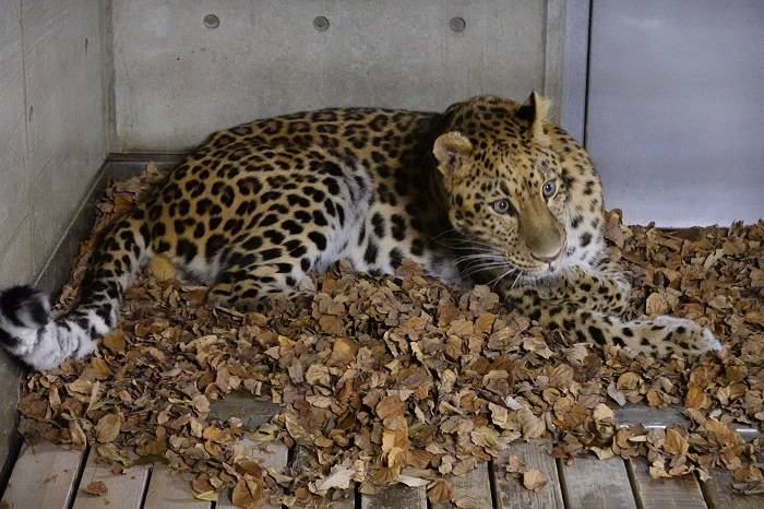 3 満喫するダッシュ.jpg