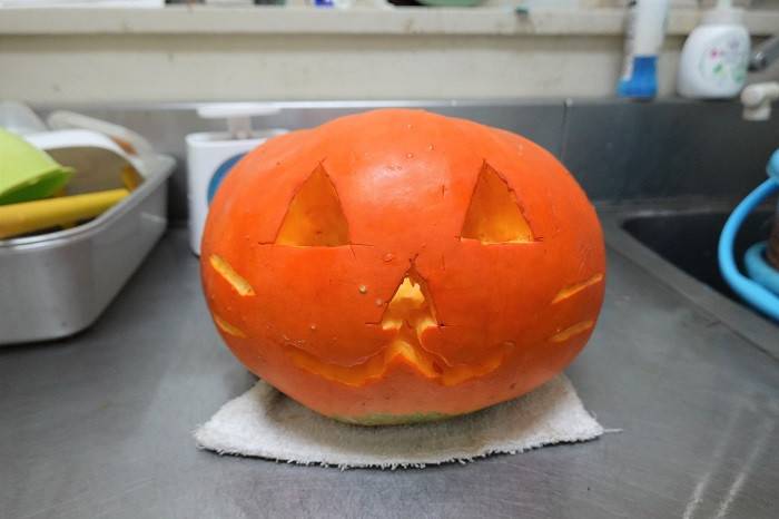 1 ネコ風カボチャ.jpg