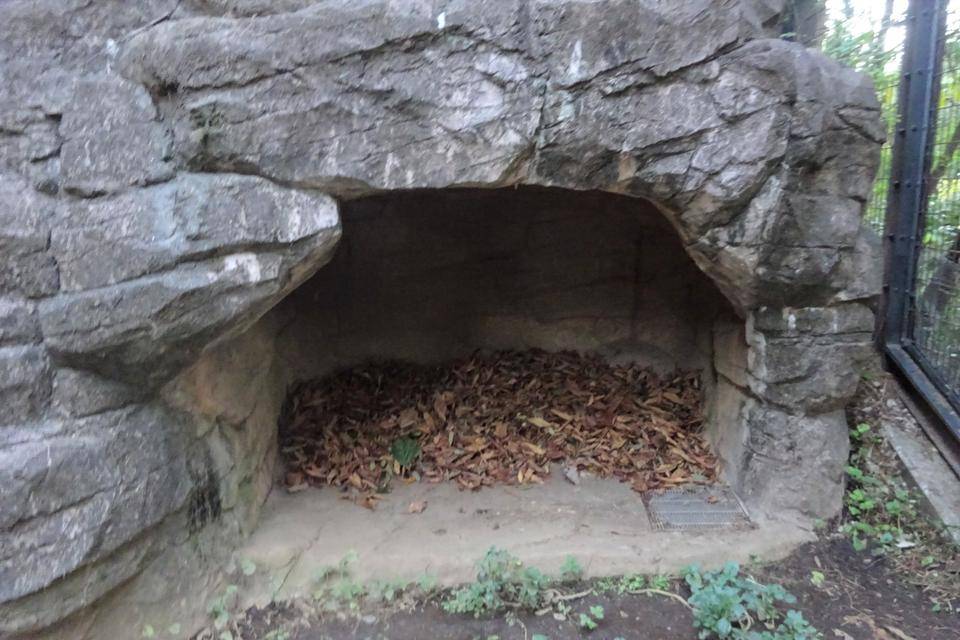 1 洞内に落ち葉を敷きました.jpg