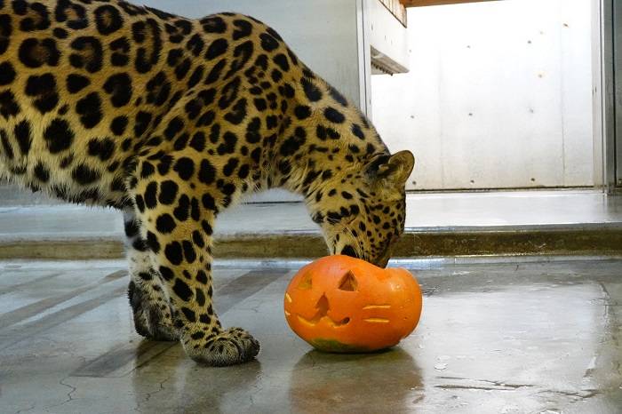 2 恐る恐る接近し.jpg