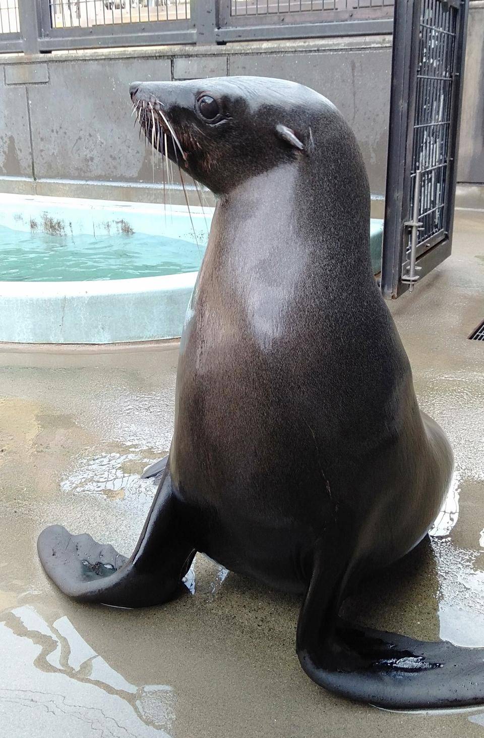 広報よこはま ワン.jpg