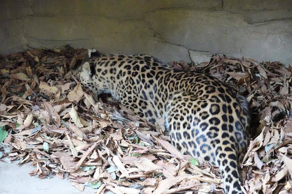 5 臭いチェック中.jpg