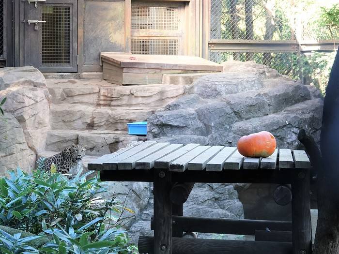 8 1歩ずつ慎重に近寄ります.jpg