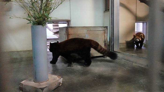 4 気にしないまめたろうと.jpg