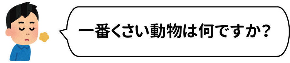 質問7くさいどうぶつ.jpg