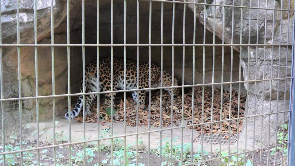 2 早速チェックしに行くダッシュ.jpg